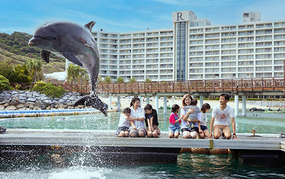 Dolphin splash