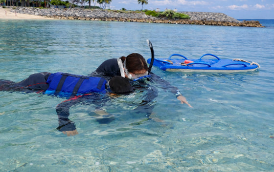 snorkel school
