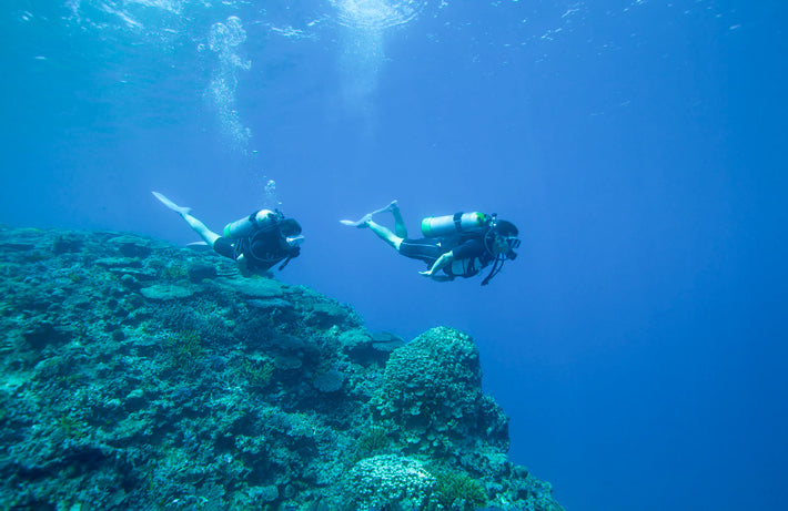 Tour diving
