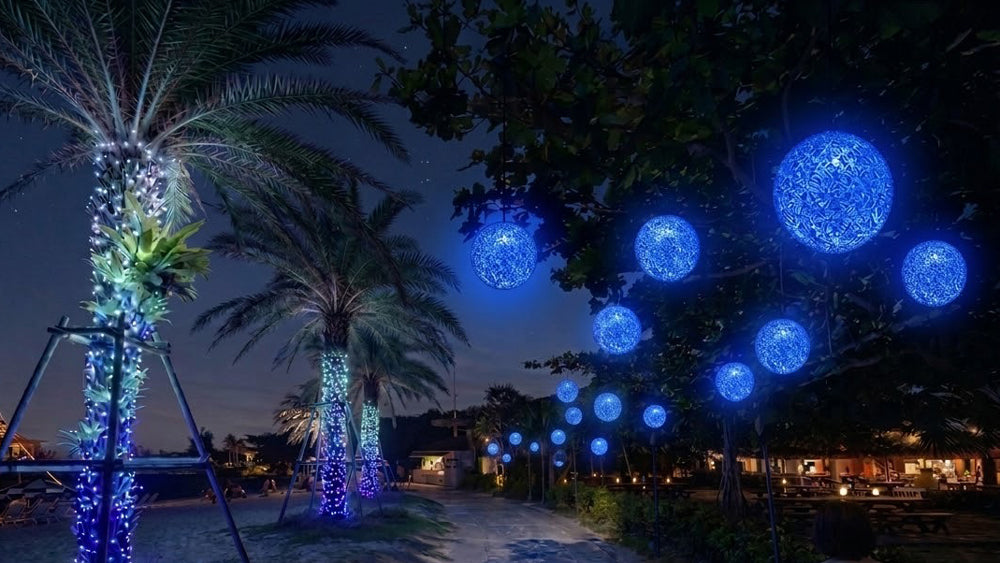 BLUE LAGOON CHRISTMAS 2026