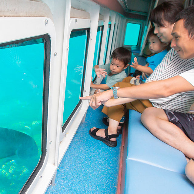 クマノミ号クルーズ