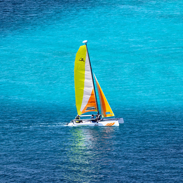 ホビーキャット (スキッパー付)