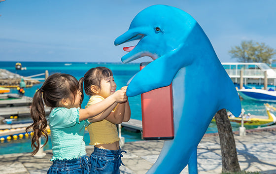 イルカの郵便屋さん