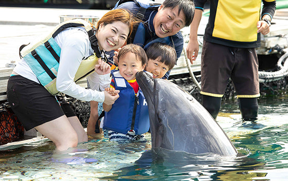 ファミリードルフィンS（スイムプラス）