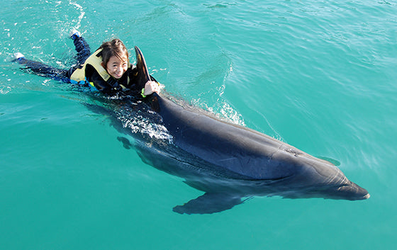 ファミリードルフィンS（スイムプラス）