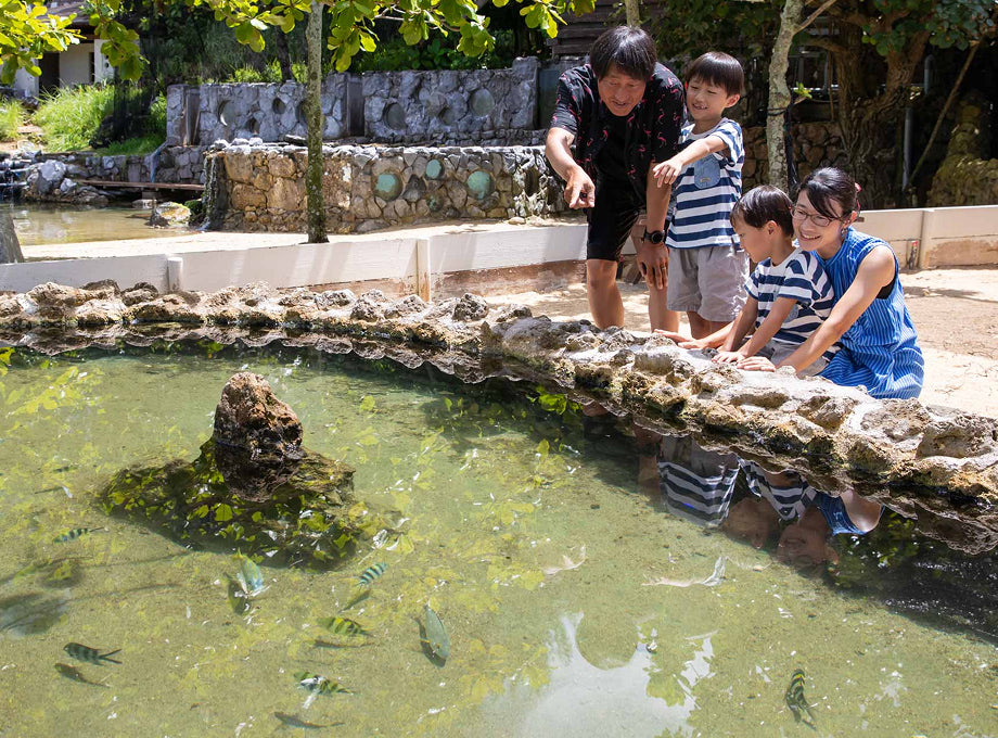 画像：サンゴ礁の生き物をすぐそばで観察