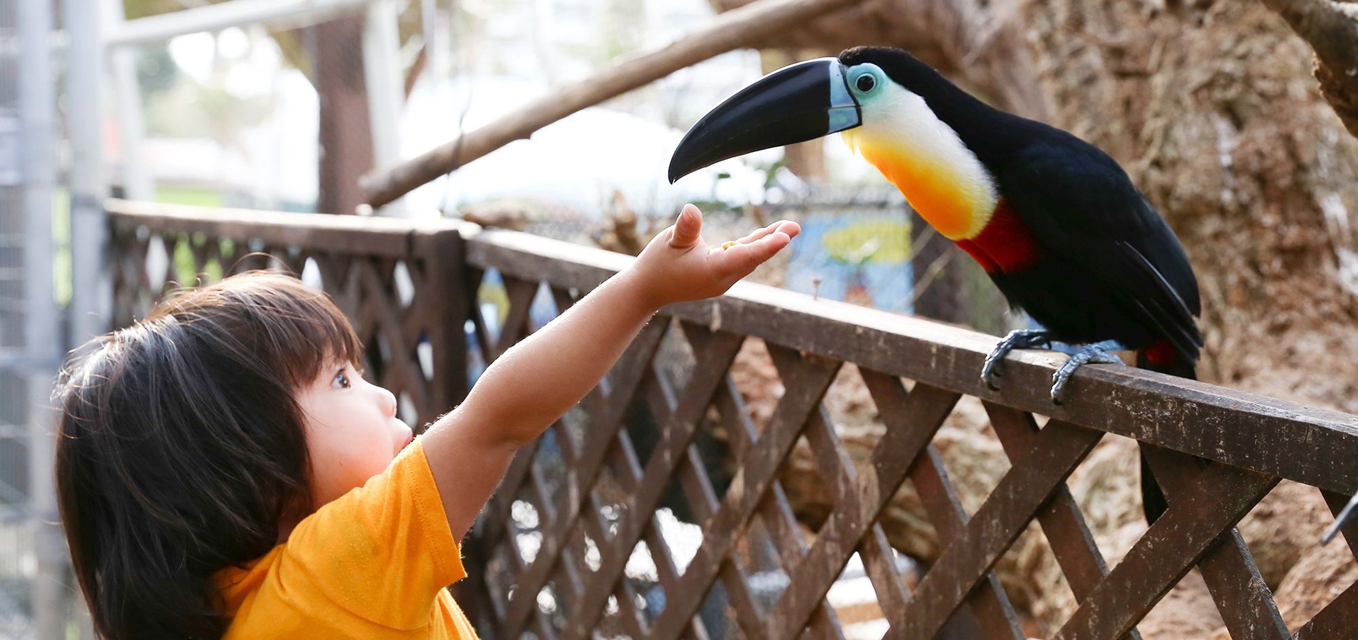 画像：リーフガーデン