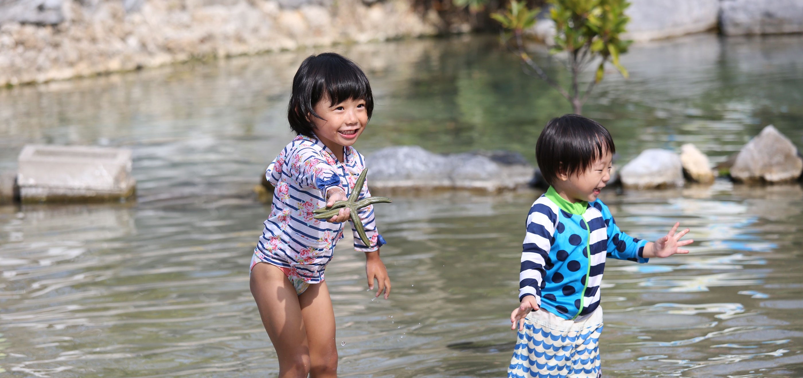 画像：リーフガーデン