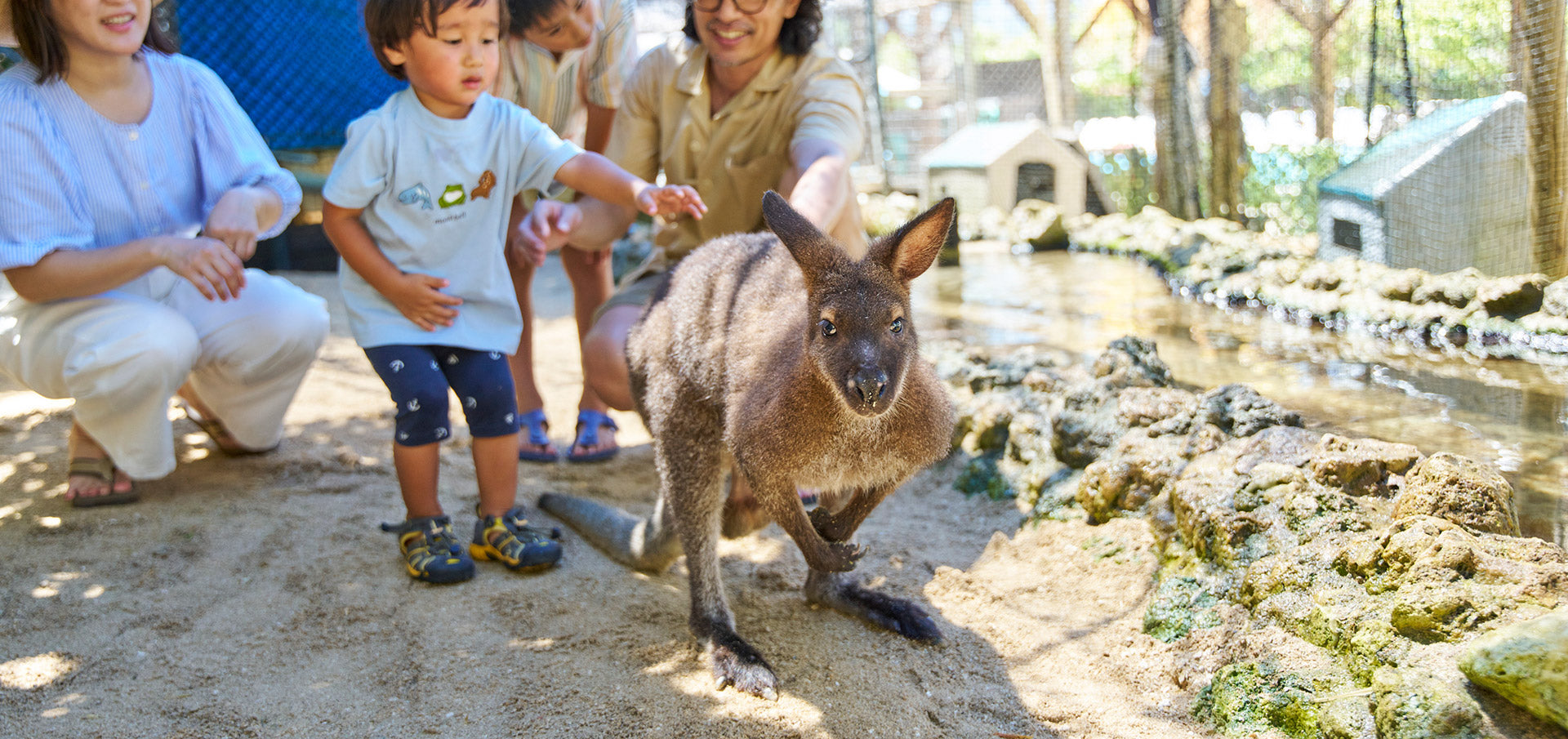 画像：リーフガーデン