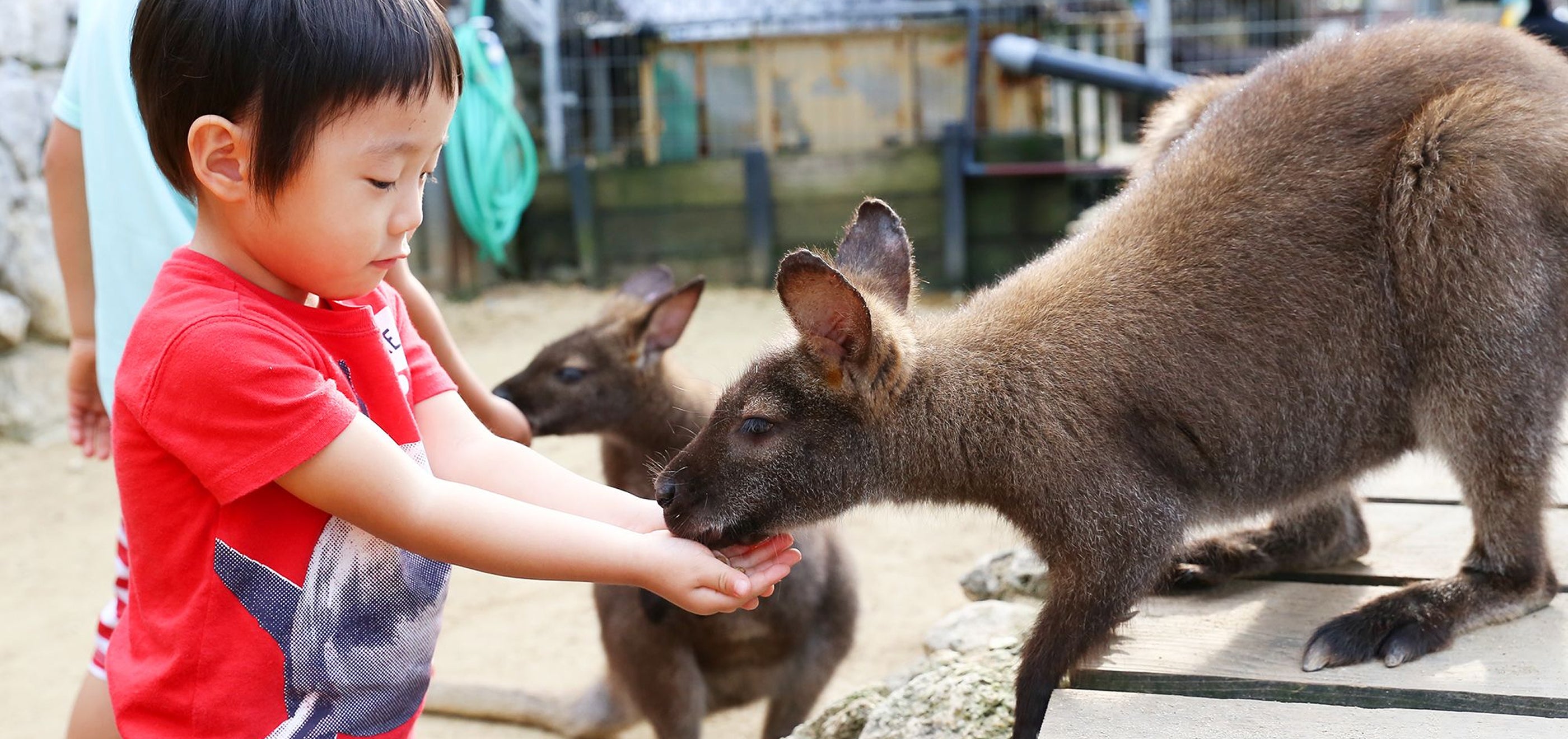 画像：リーフガーデン