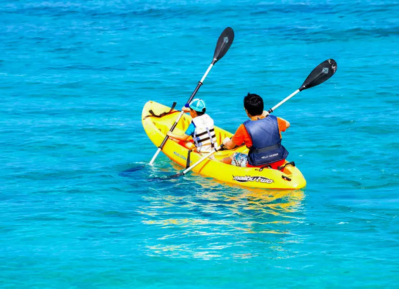 어린이 및 가족