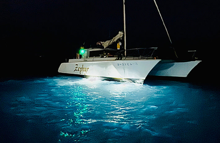 ナイトディスカバークルーズ（夜の海の生き物発見）