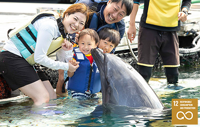 Family Dolphin S