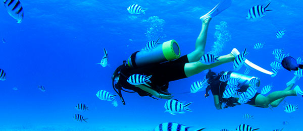 Experience Diving