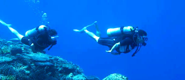 Tour Diving (Need Certification)