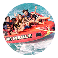 アクティビティ