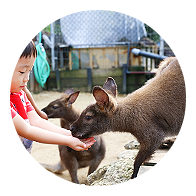 アクティビティ