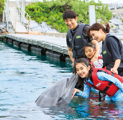 アクティビティ